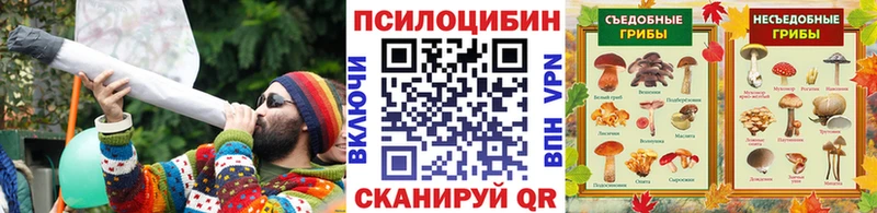 Галлюциногенные грибы Magic Shrooms  Солнечногорск 