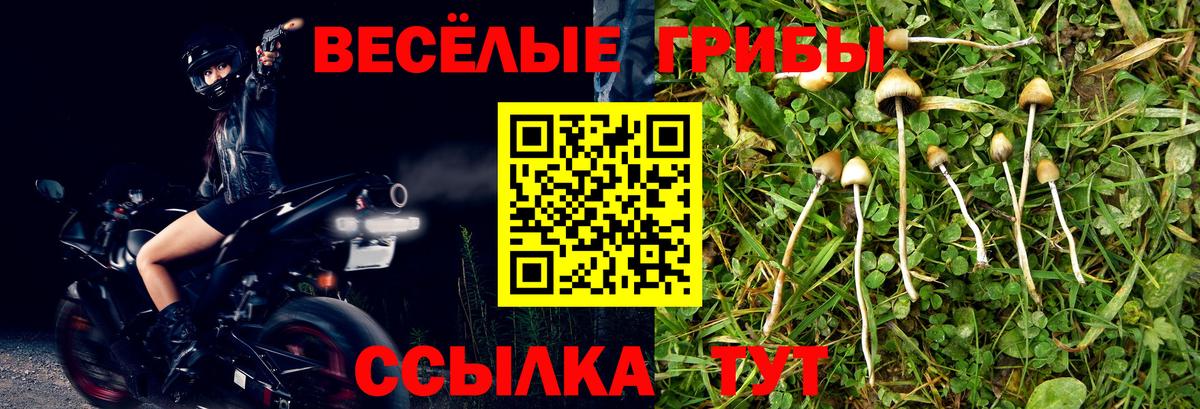 Галлюциногенные грибы прущие грибы Солнечногорск